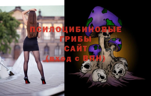 хмурый Абинск