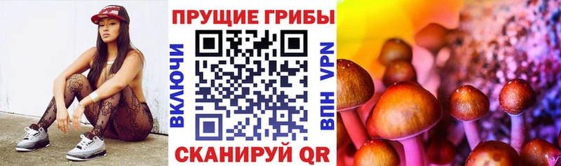 Псилоцибиновые грибы мухоморы  где найти   Тырныауз 